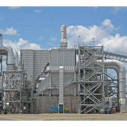 Biomass Energy Systems