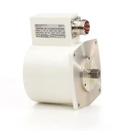 AC Induction Motors