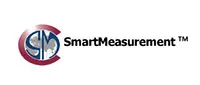 Ultrasonic flow meters
