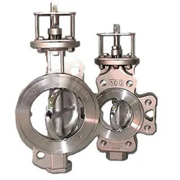 Double Offset Butterfly Valves