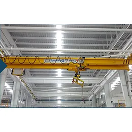 Double Girder UnderSlung Crane