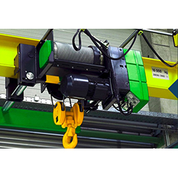 Wire rope hoists