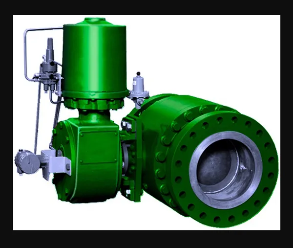 Fisher V260 Control Valve