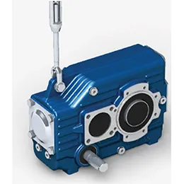 PT Pendular gear reducers and gearmotors