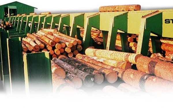 Log Sorting sawmill line