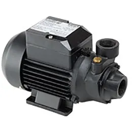 ph 45 es ci-50 hz-peripheral pump