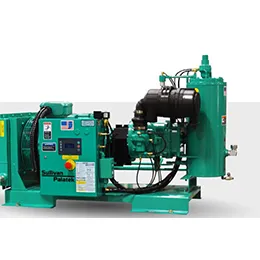 D SERIES Industrial Electric 15-40 HP