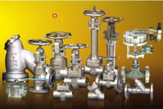 Forged Valve