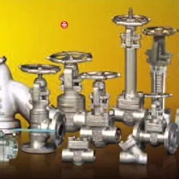Forged Valve
