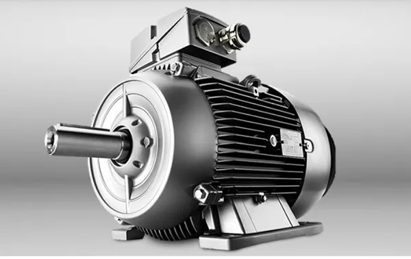 IEC Electric Motors