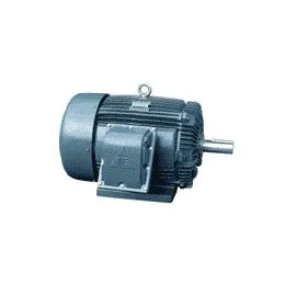 Explosion Proof Motors
