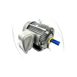 Permanent Magnet Motor