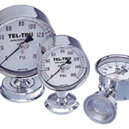 food and dairy sanitary pressure gauges