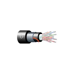Cat. 5 25x2x24/1 AWG F/UTP LSZH-SHF1-9MG0605101