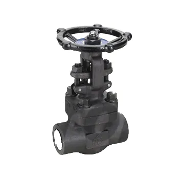 Small Forged Valves - API602,BS5352 Gate Valves - FG-800
