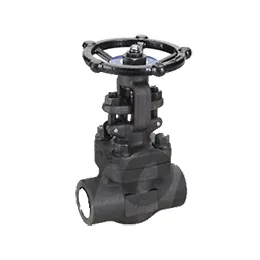 Small forged valves - api602-bs5352 gate valves - fg-800