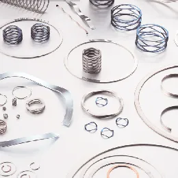 Smalley Wave Springs-Retaining Rings