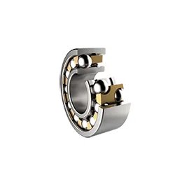 Self Aligning Linear Ball Bearing