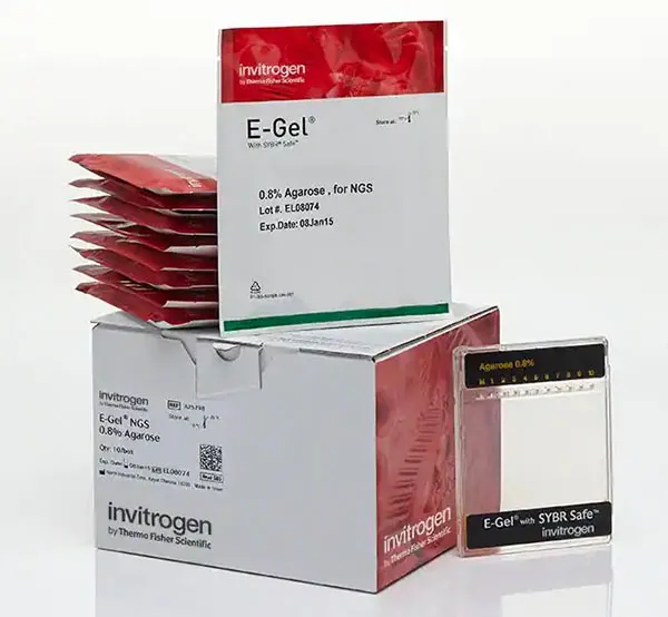 E-Gel NGS 0.8 Agarose Gels