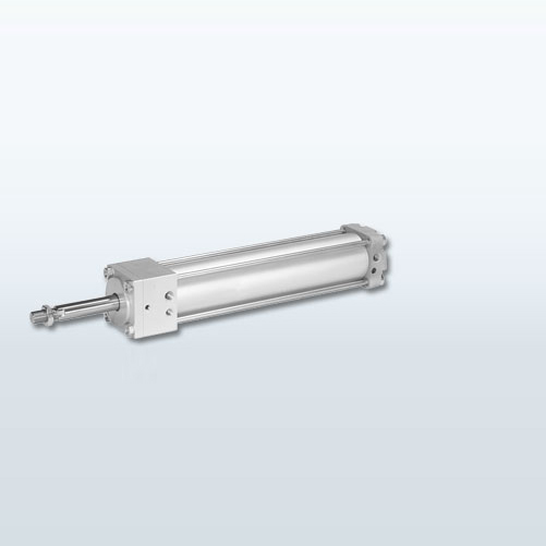 Pneumatic Cylinders - Blocking Cylinders Series DZB