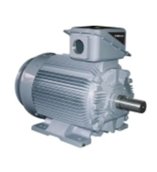 21-FII Series Motors