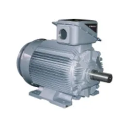 21-FII Series Motors
