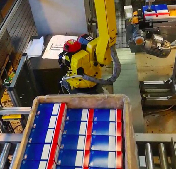 Robotized cell for palletizing boxes