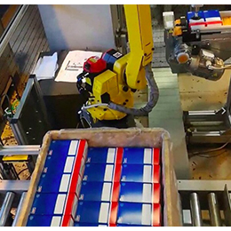 Robotized cell for palletizing boxes