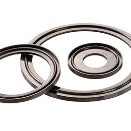 Clamp Seals