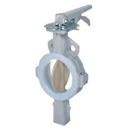 Chemically Resistant Butterfly Valves 846T/847T/847Q