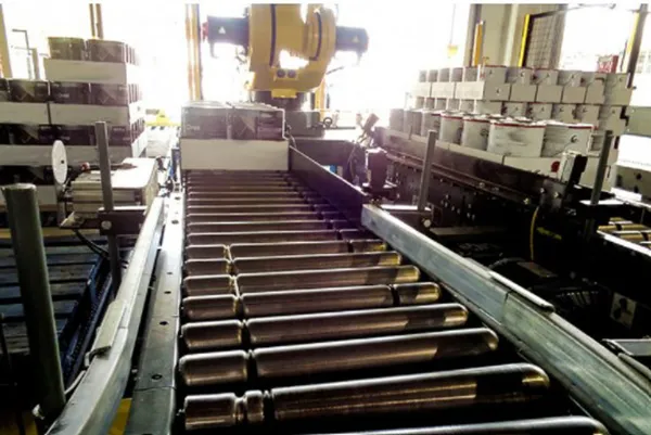 Case Handling Conveyors