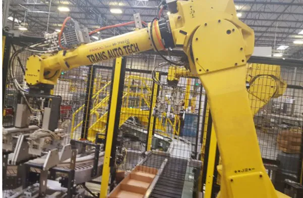 Robotic Case Packers