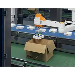Cardboard filling with kinematics