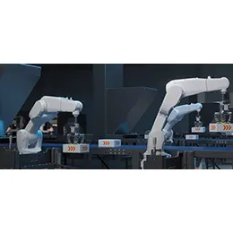 Standard carton filling options