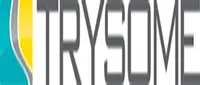 Trysome Auto-Electrical Engineering (Pty) Ltd