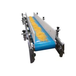 Belt Conveyor systems