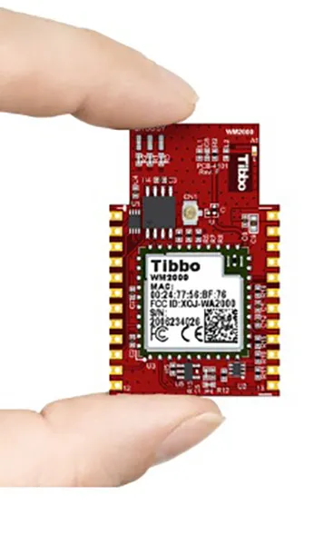 WM2000 Programmable Wireless IIoT Module