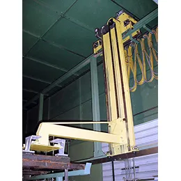 Hoist assemblies