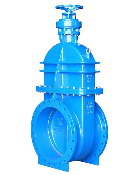 VAG KFS Gate Valve with non-rising stem