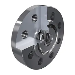 check valves