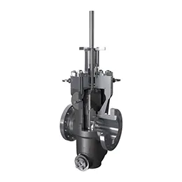 gate valves