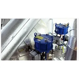 Globe valves