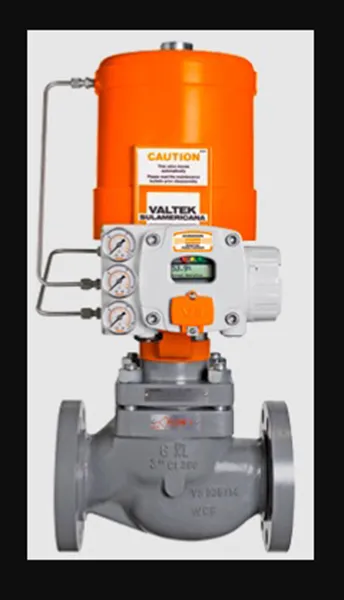 Globe Type Valve AG XL Chronos