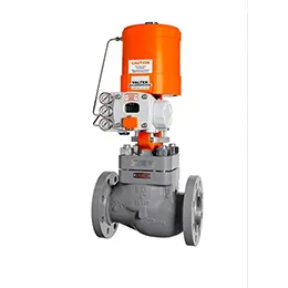 Globe Type Valve GL S series