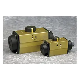 AP-rotary pneumatic actuators