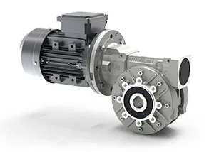 RS Series-Worm gearboxes