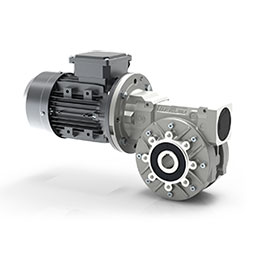 RS Series-Worm gearboxes