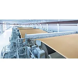 Paper industry