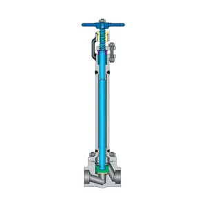 Cryogenic globe valves