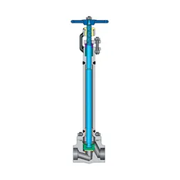 Cryogenic globe valves